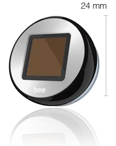 bee-front-view.png