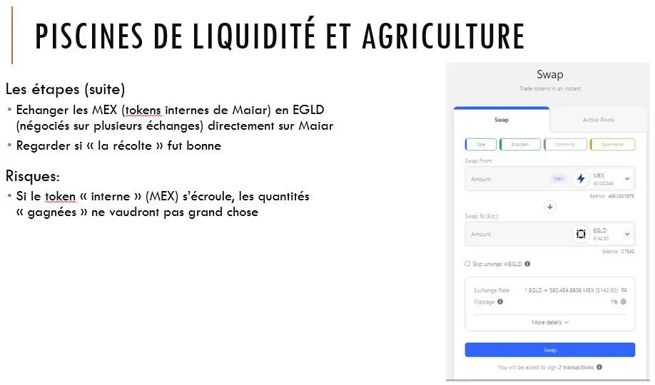 slide25.JPG