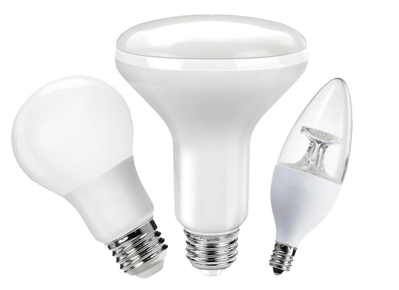BULB-PNG.png