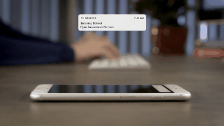 animation.gif