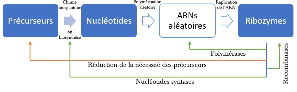 Synthèse