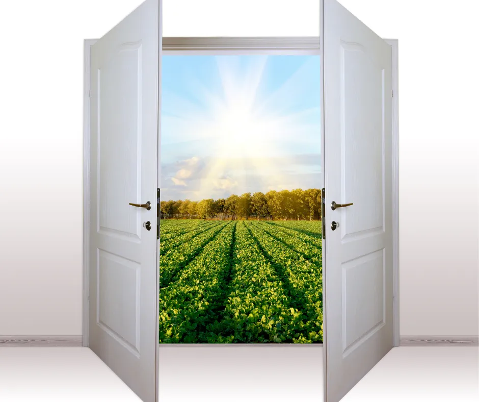 Untitled design57.png