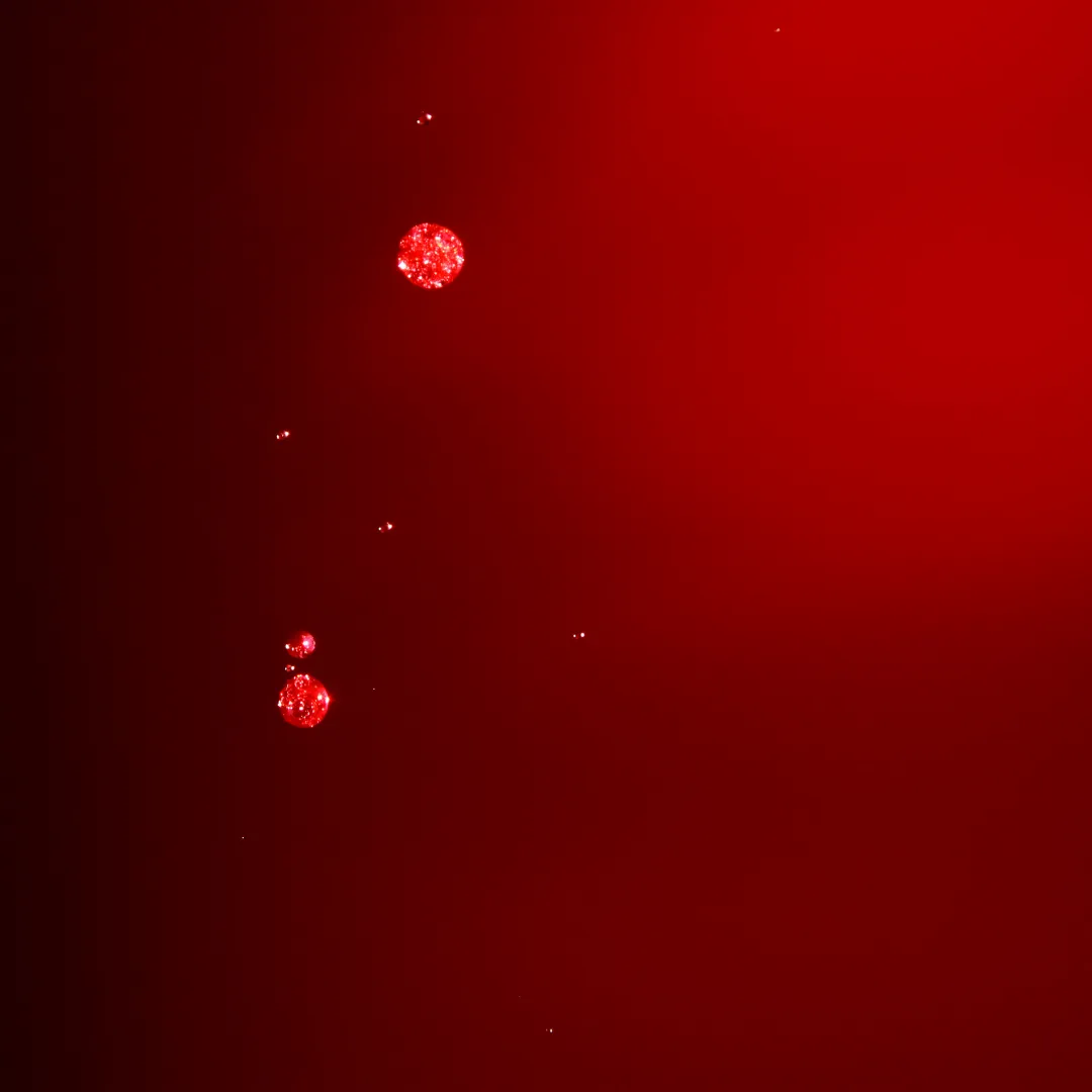 Untitled design29.png