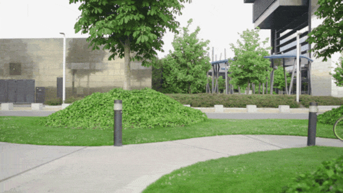 giphy(2).gif
