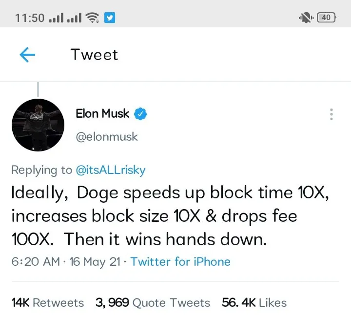 10x.jpg
