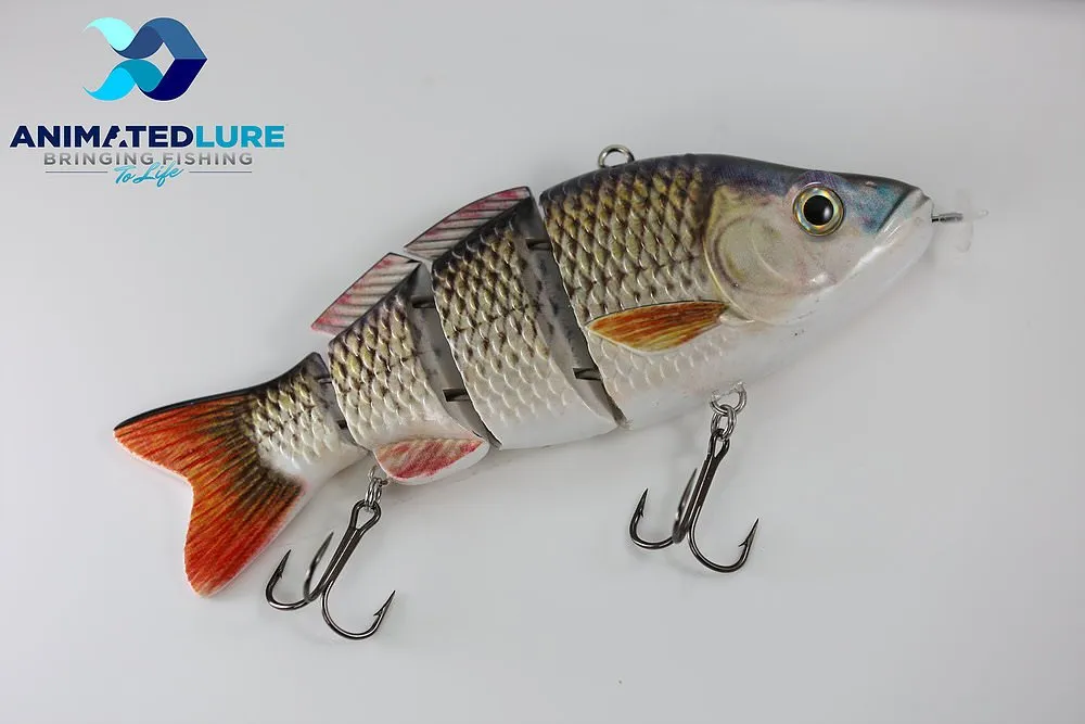fish.jpg