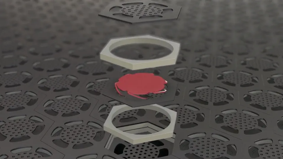 03.PNG