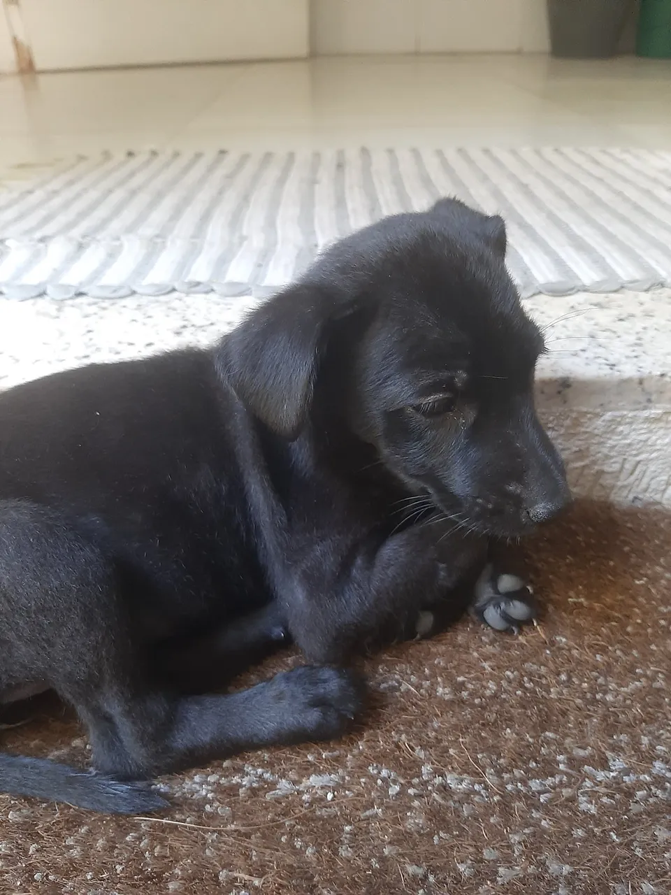 Latifa's first day at home