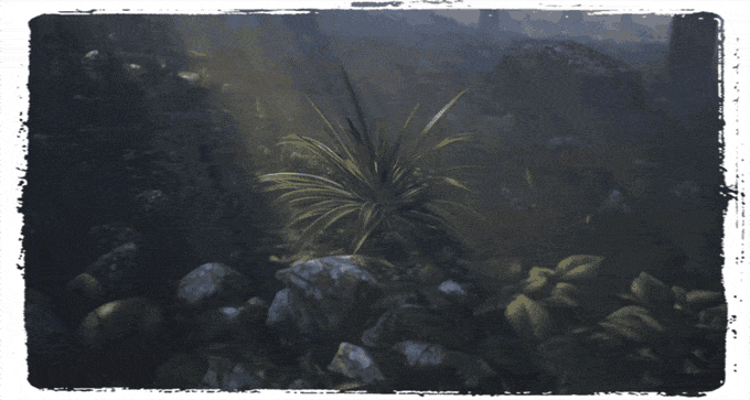 54479039ad18d1529a9f07201cdfbb85_original.gif
