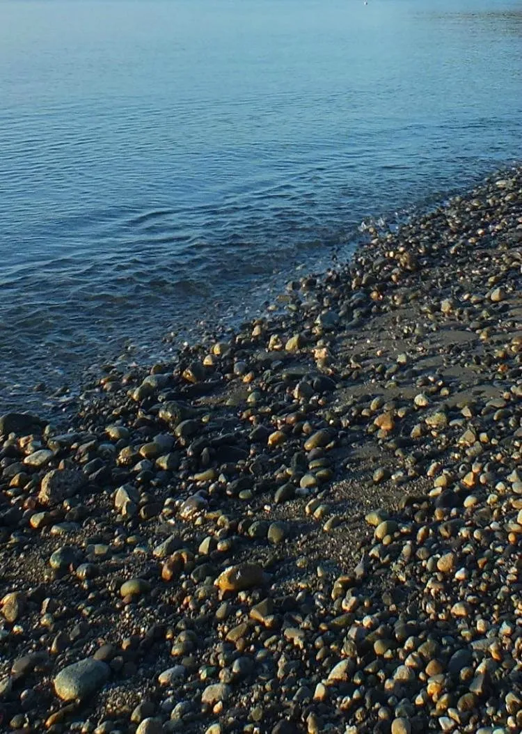 Water'sEdge