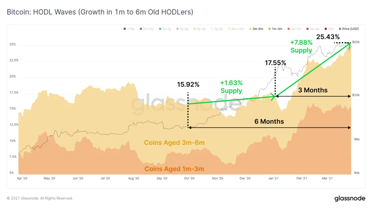 Bitcoin: HODL Waves (Growth in 1m to 6m Old HODLers)