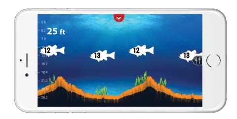 FishView_Hor-480x242.png