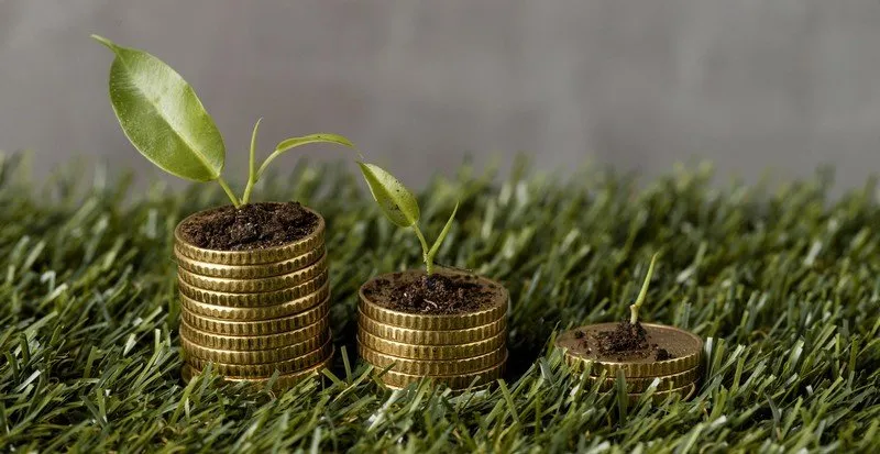 highanglethreestackscoinsgrasswithplantsdirt.jpg