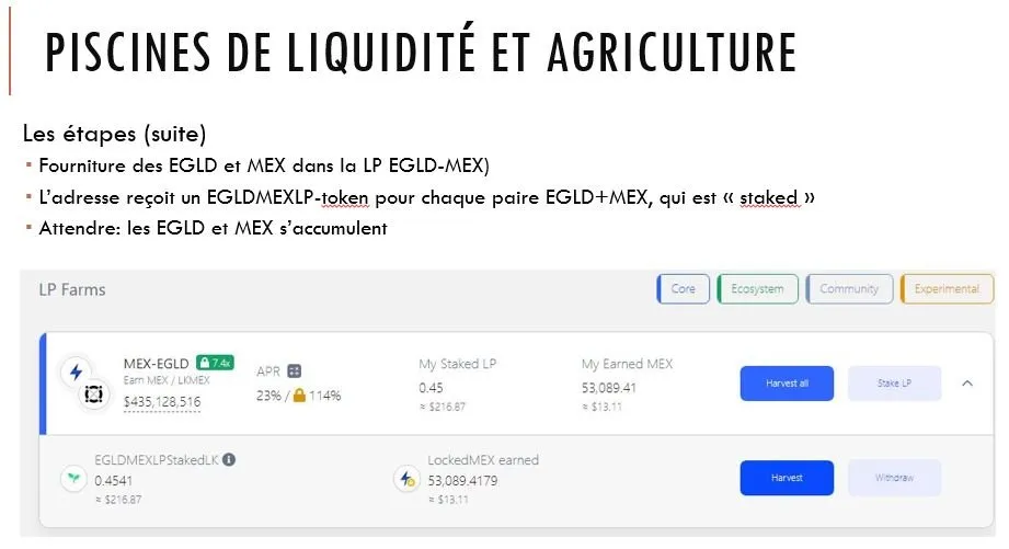 slide23.JPG