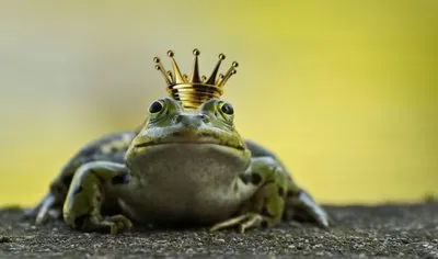 Die goldene Kugel