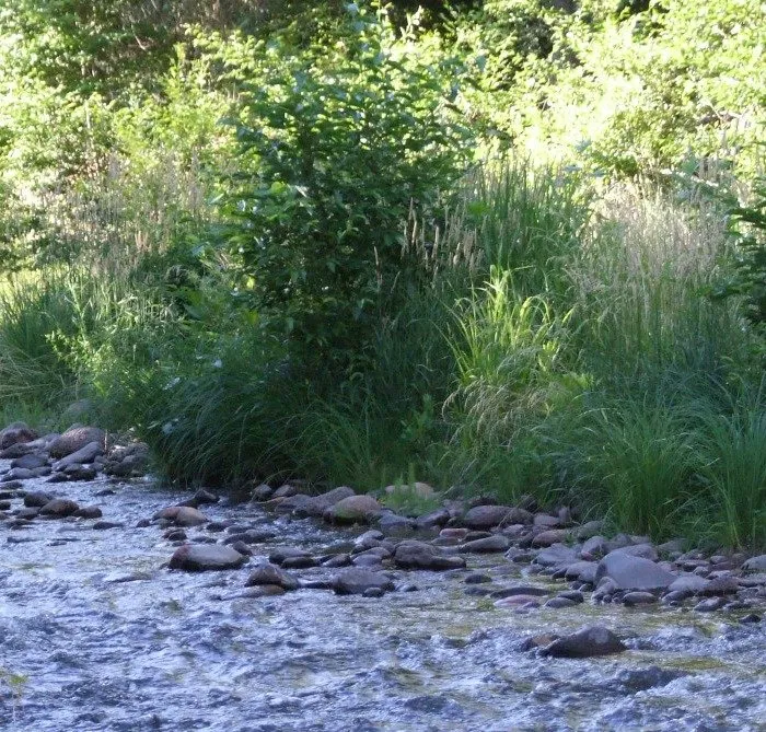 Creek
