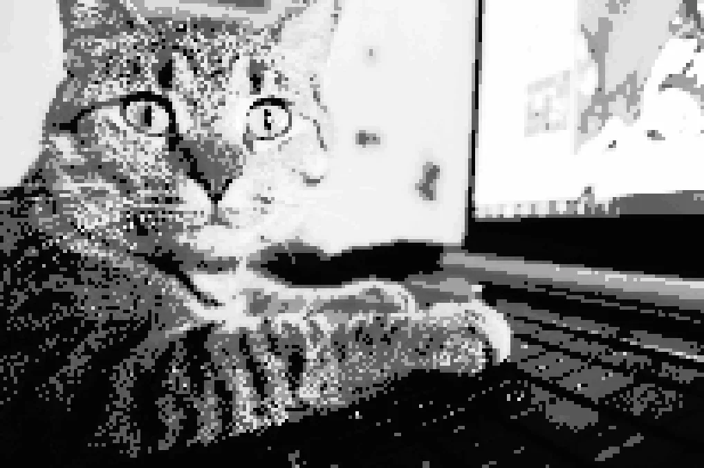 pixel cat