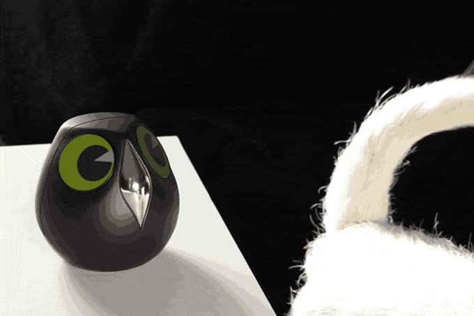 e6ae2875680f80a28f2690be6a358d9d_original.gif