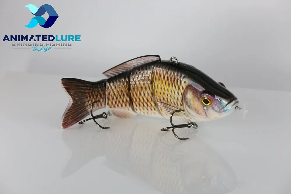fish 2.jpg