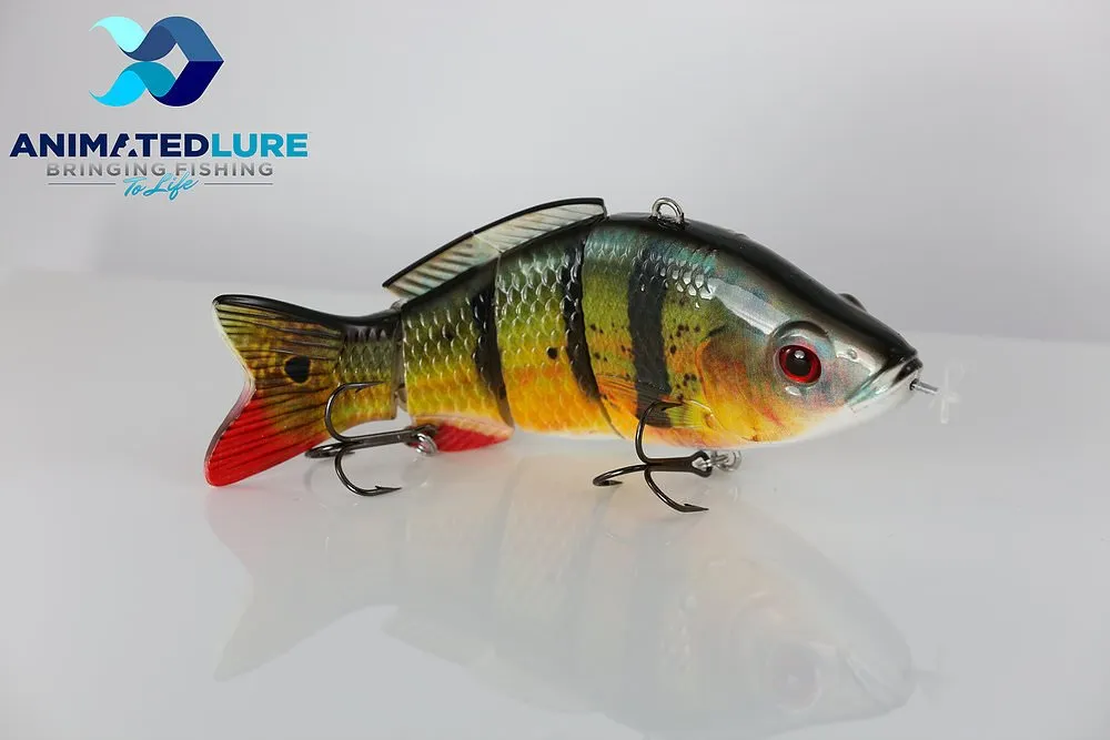 fish 3.jpg