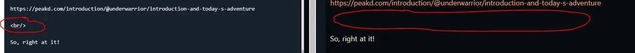 formattingbr.JPG