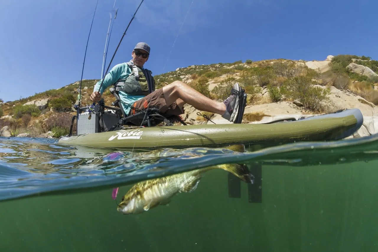 i11S_action_fishing_bass_overunder_underwater_lake_Morgan_jpg_1600x1600__generated.jpg