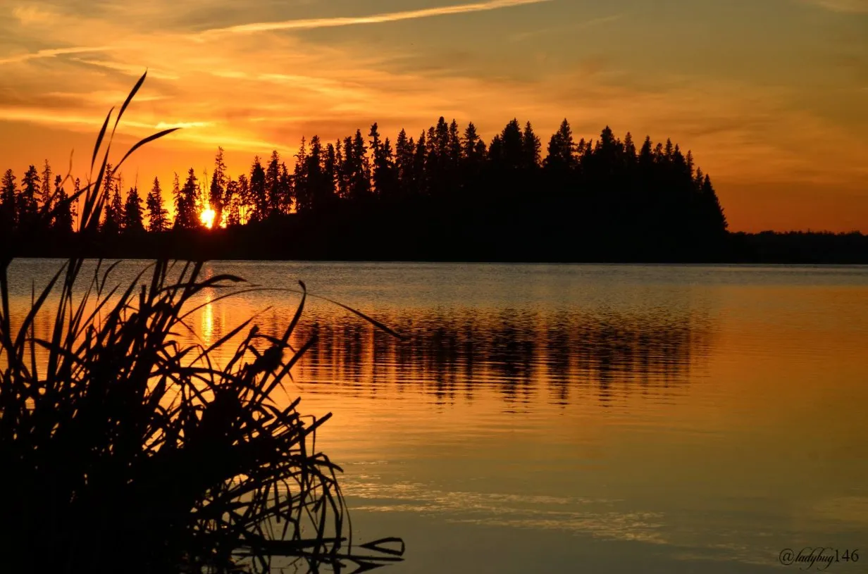 Astotin Lake.jpg