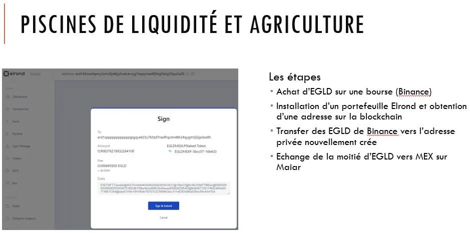 slide22.JPG