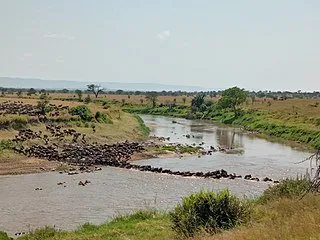 Great_Migration_in_Kogatende,_Serengeti_by_Tanzania_GET_Safaris.jpg