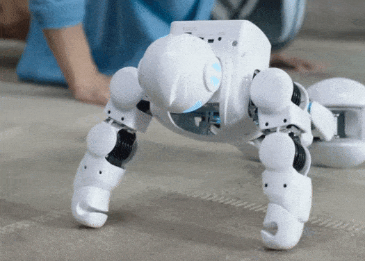 1.gif