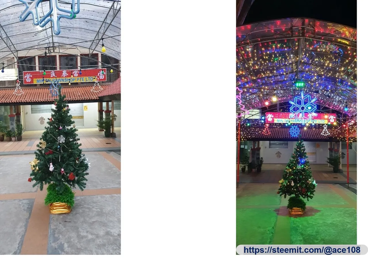 Christmas Tree at TP Central