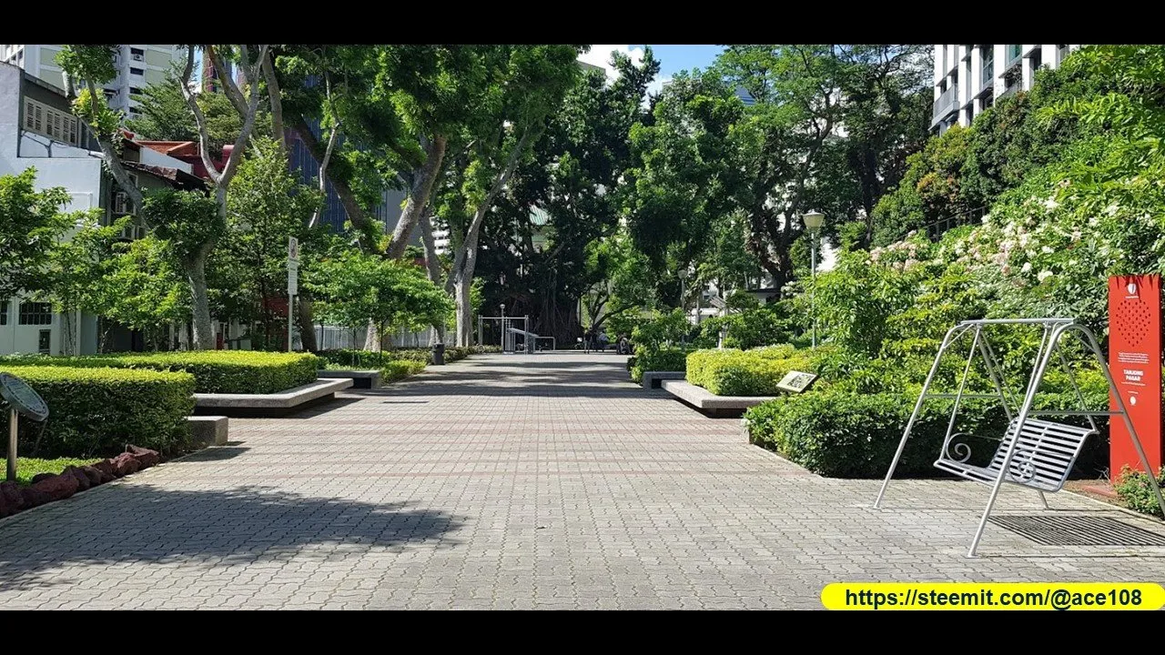 Heritage Trees at Duxton Plains10