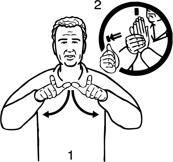 New Zealand Sign Language - Language Proficiency