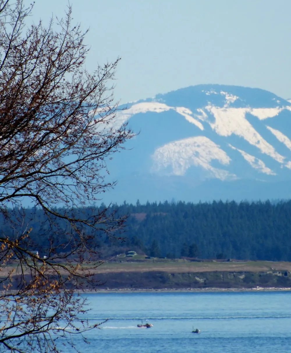 Mountains