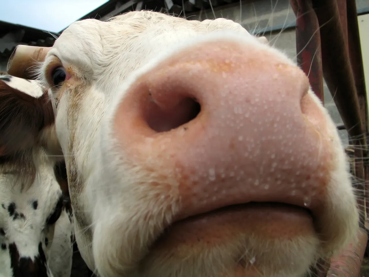 agriculture1238993_1920.jpg