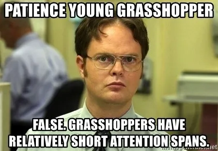 patienceyounggrasshopperfalsegrasshoppershaverelativelyshortattentionspans.jpg