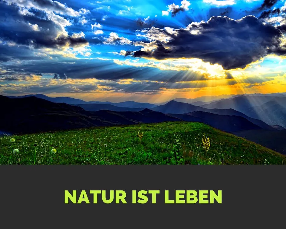 Natur ist Leben