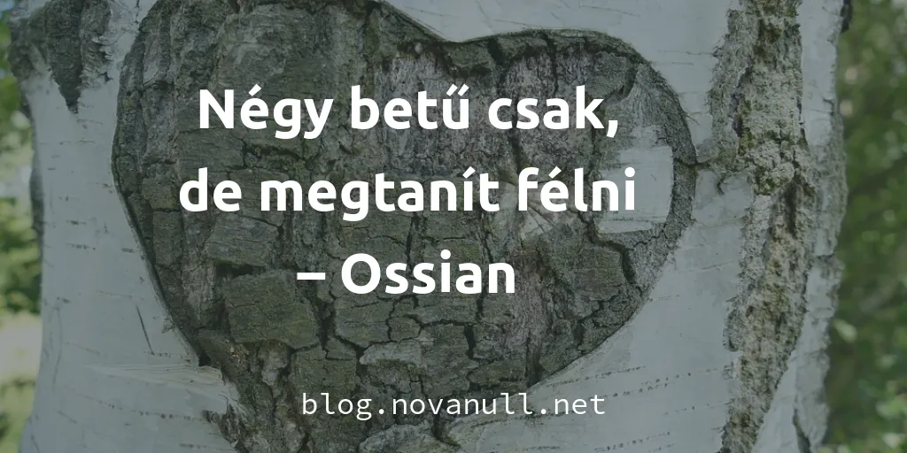 szív alak fába vésve