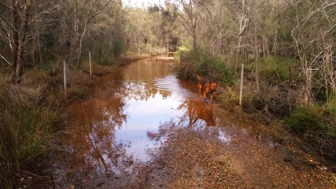 Water on the track