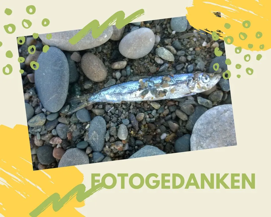 Sein größter Erfolg
