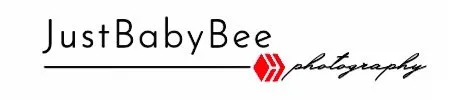 JustBabyBeePhotography.jpeg