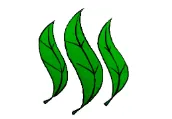 storg_logo.png