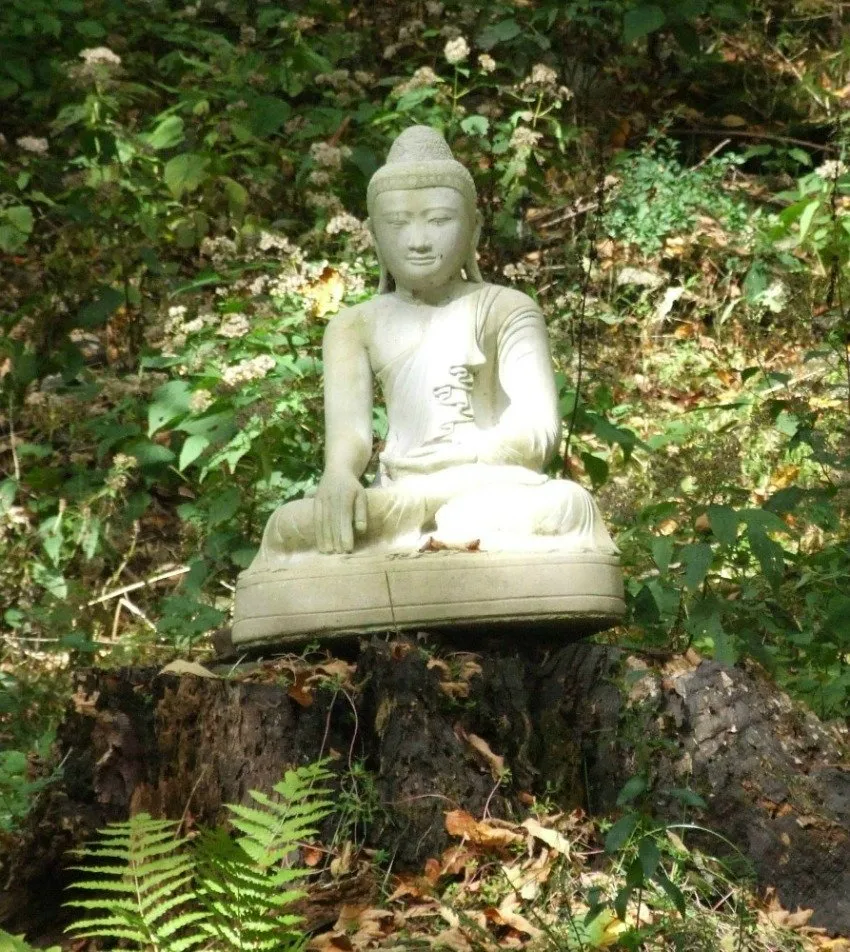 Buddha in the woods
