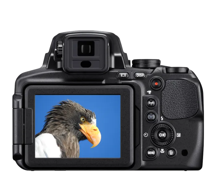26499_P900_back.png