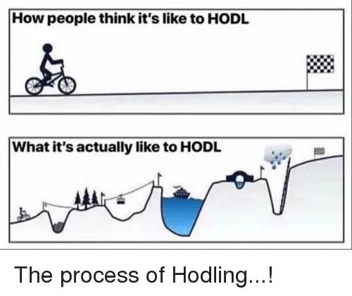 1 hodl.png