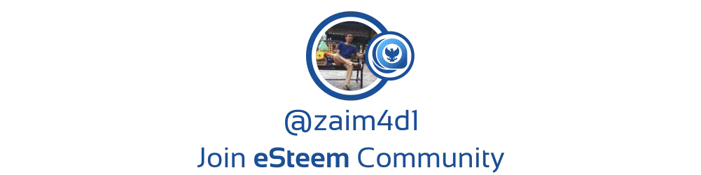 @zaim4d1