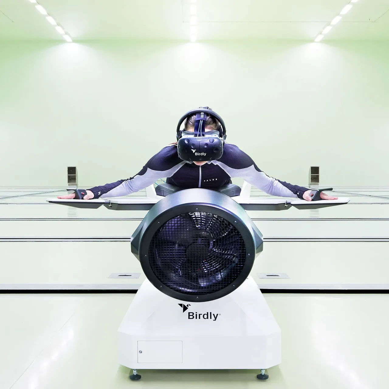 2109_ Birdly_02_060_c_DLa-web.jpg