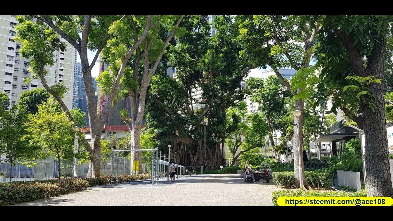Heritage Trees at Duxton Plains10
