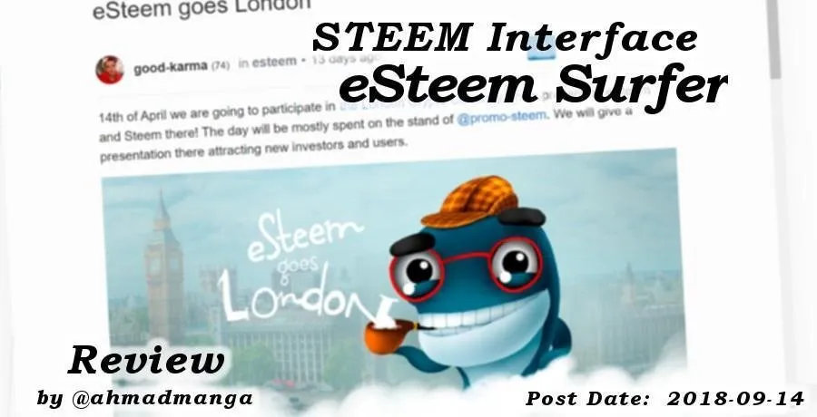 Review: eSteem Surfer