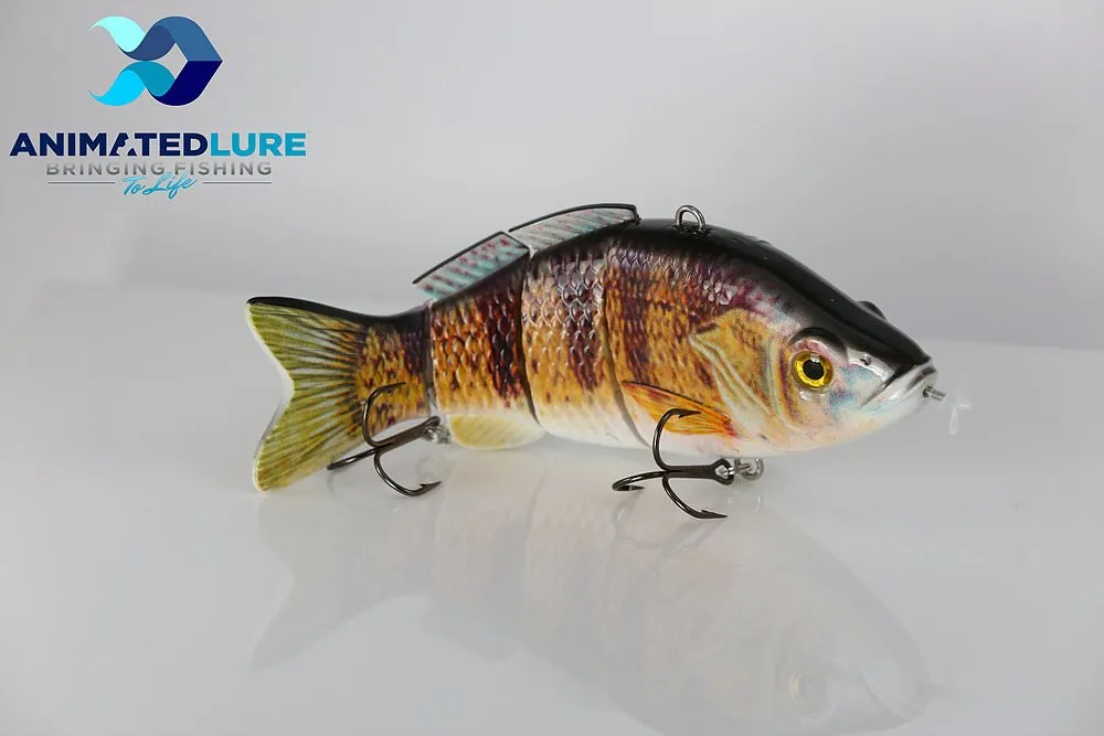 fish 4.jpg